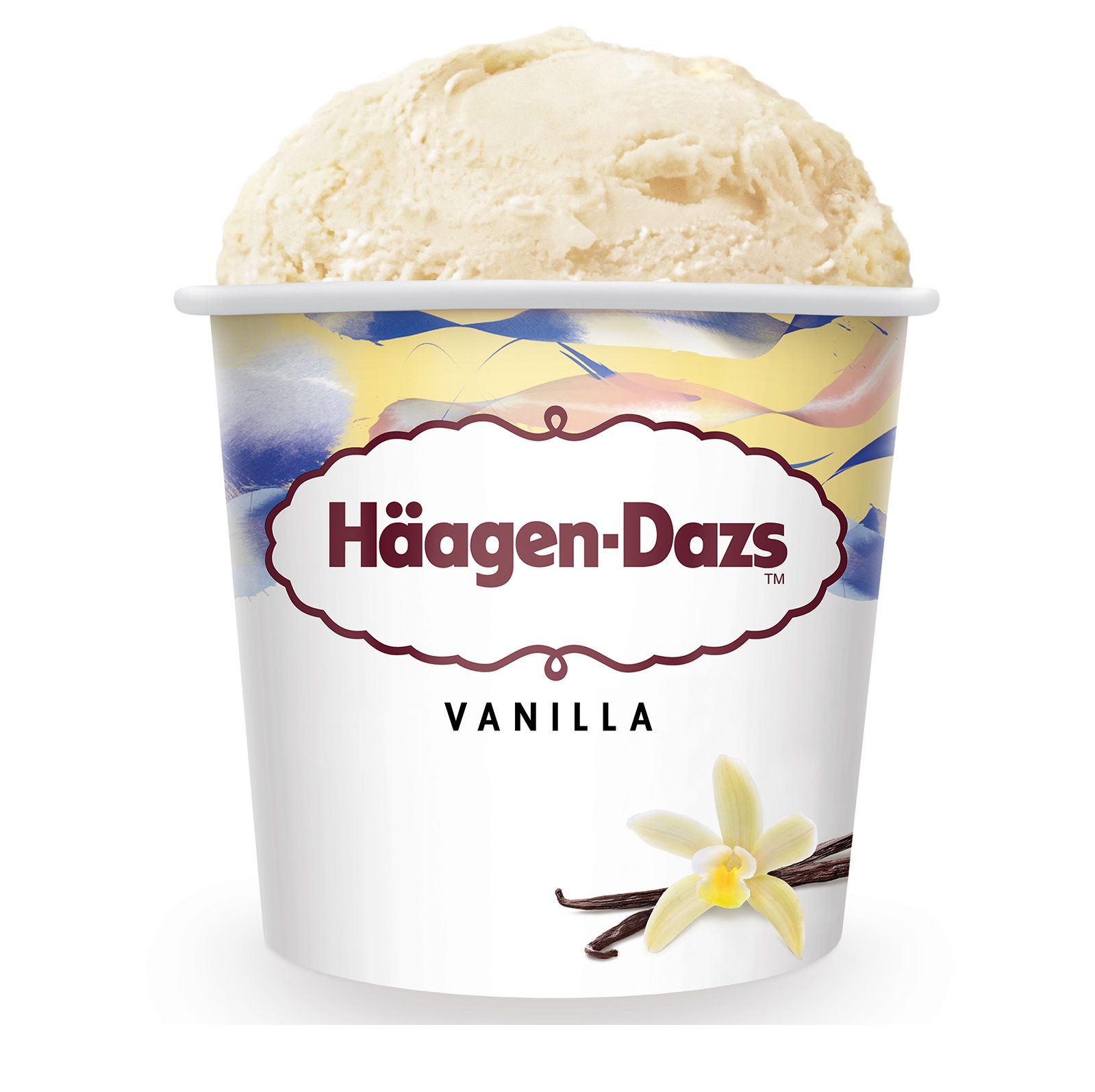 哈根达斯 香草味冰淇淋 | Haagen-Dazs Vanilla Ice Cream 473ml