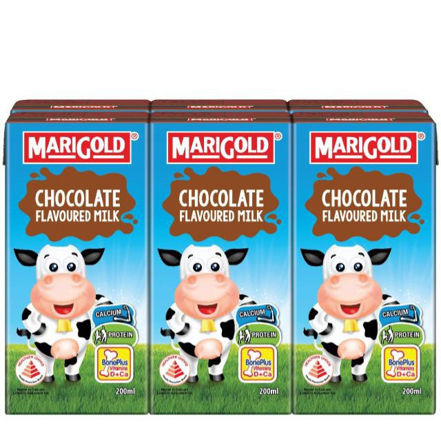 Marigold 巧克力牛奶 | Marigold Chocolate UHT Milk 6 x 200ml